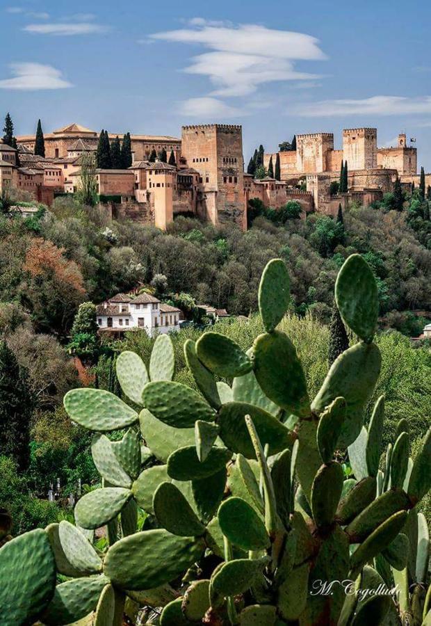 Apartamento Realejo Centro Ciudad Granada Luaran gambar